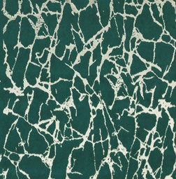 Toon details voor Dance 45 Care & Clean Afbeelding van Dance 45 Care & Clean